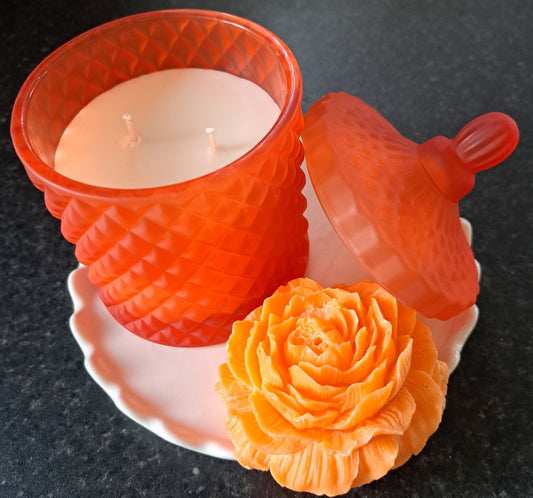 Apricot Rose