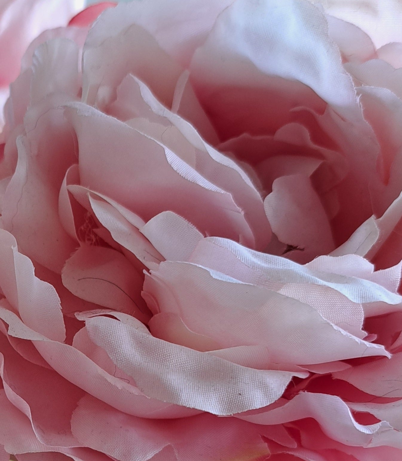 Peony Petals